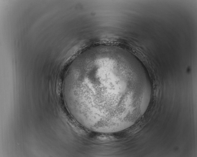 X0000116770712200912241203