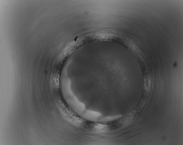 X0000116770718200912241203