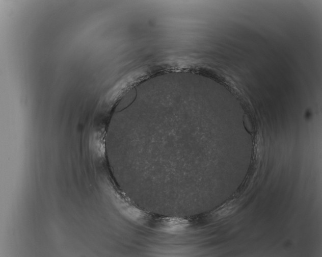 X0000116770719200912241203