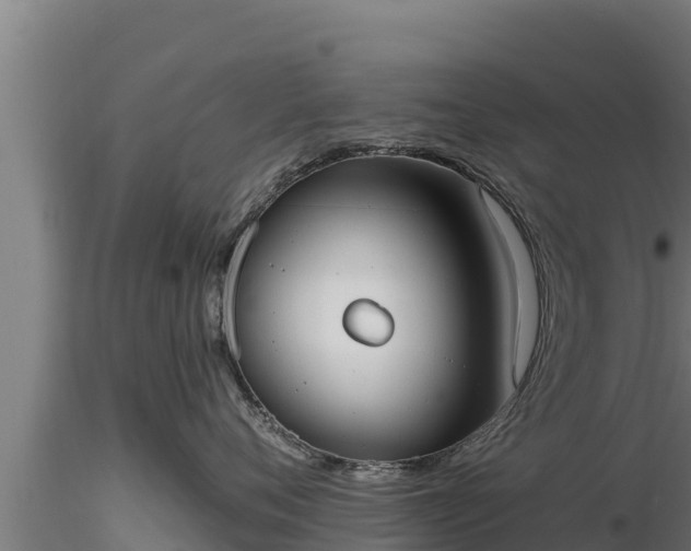 X0000116770720200912241203