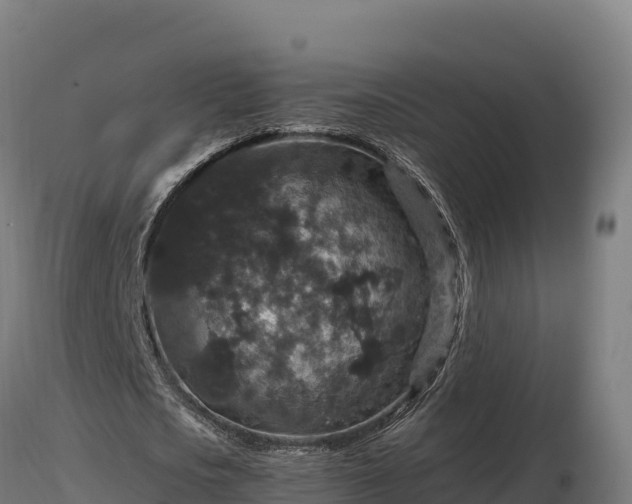 X0000116770721200912241203