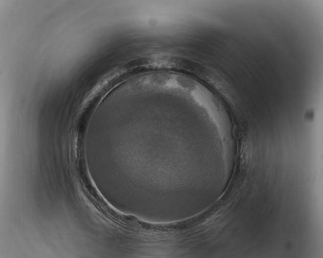 X0000116770722200912241203