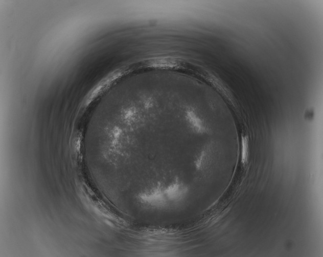 X0000116770723200912241203