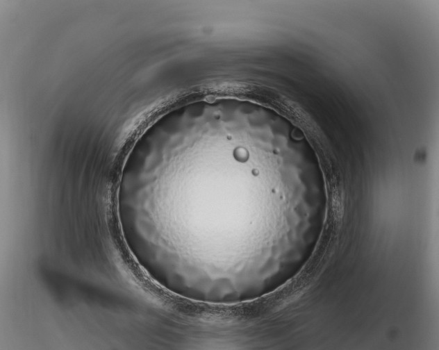 X0000116770725200912241203