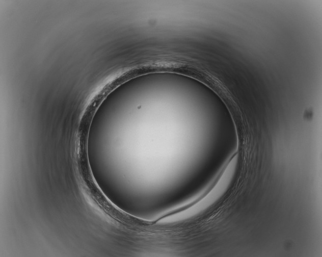 X0000116770726200912241203