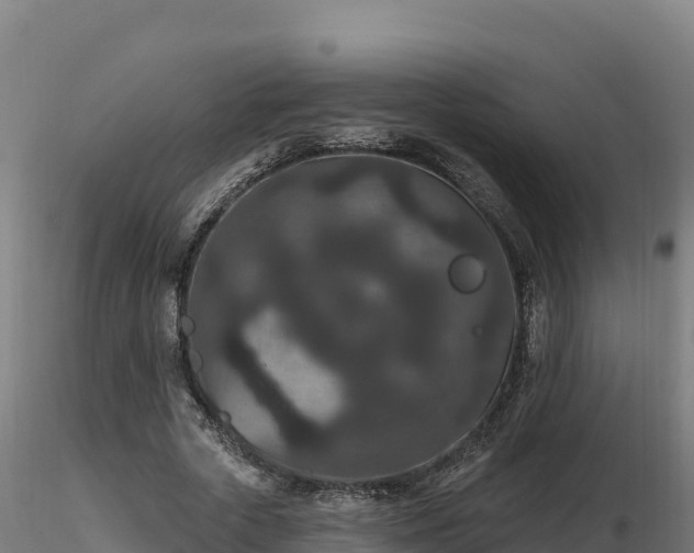 X0000116770729200912241203