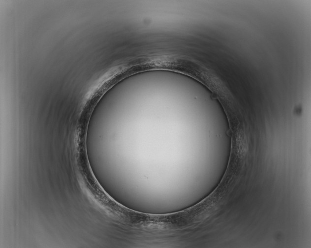 X0000116770730200912241203
