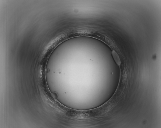 X0000116770731200912241203