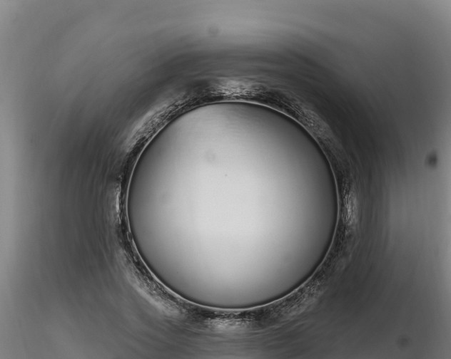 X0000116770733200912241203