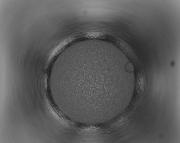 X0000116770734200912241203