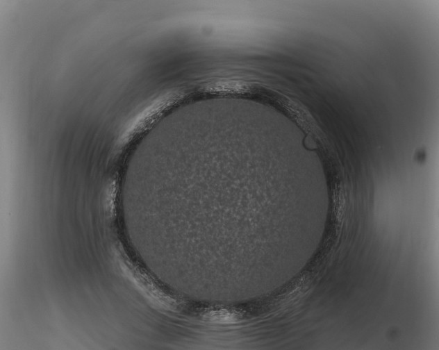 X0000116770735200912241203
