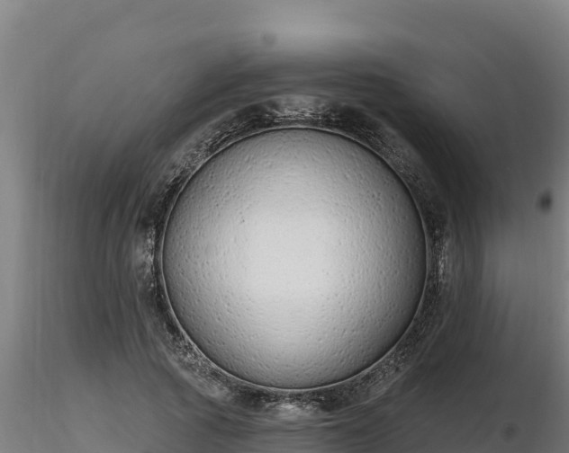 X0000116770737200912241203
