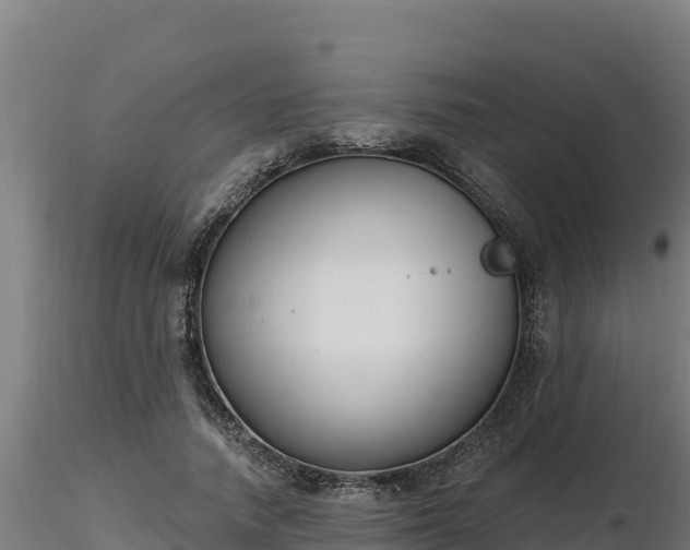 X0000116770738200912241203