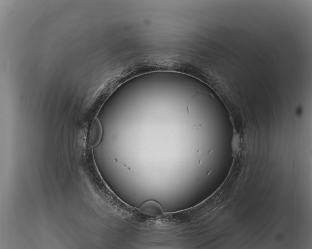 X0000116770739200912241203
