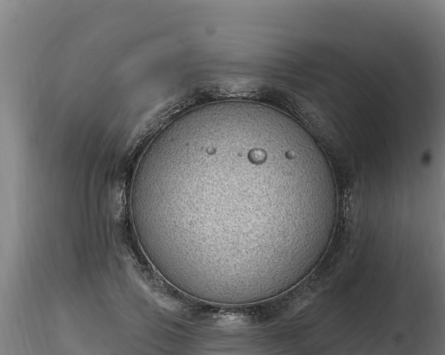 X0000116770741200912241203