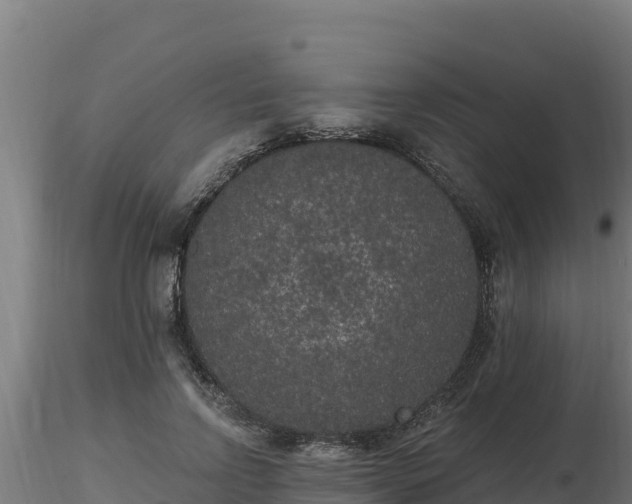 X0000116770742200912241203