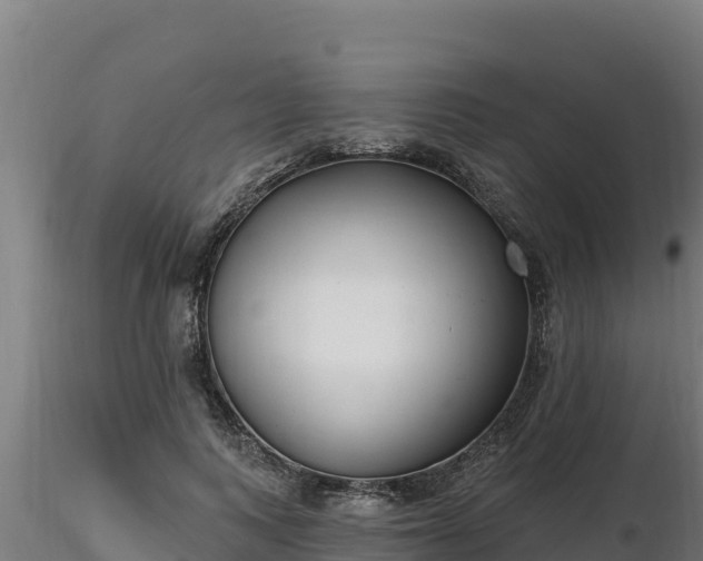 X0000116770743200912241203