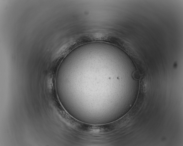 X0000116770746200912241203