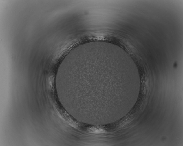 X0000116770747200912241203