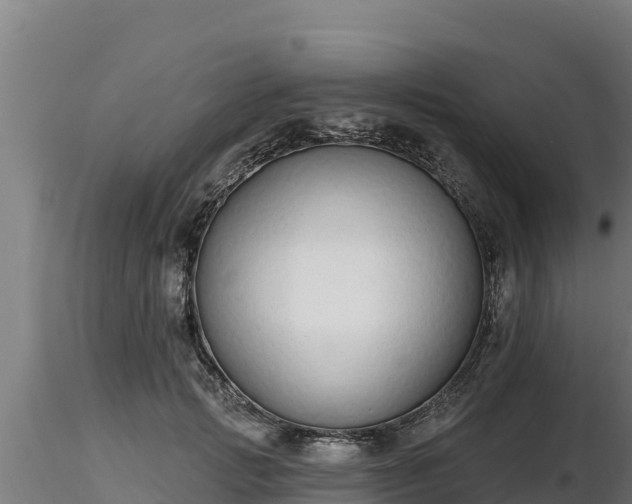 X0000116770749200912241203
