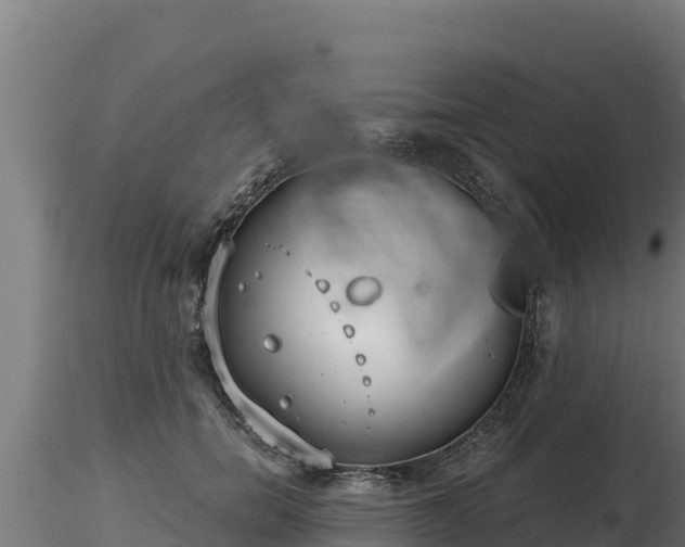 X0000116770750200912241203