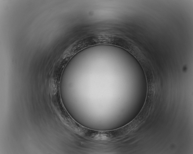 X0000116770751200912241203