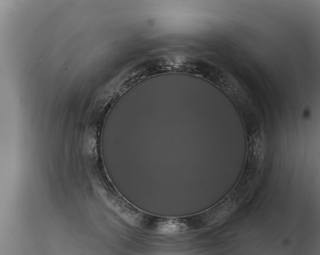 X0000116770754200912241203