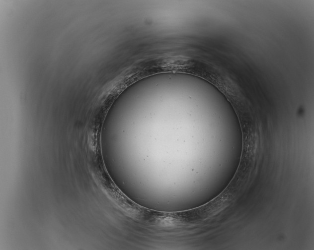 X0000116770755200912241203
