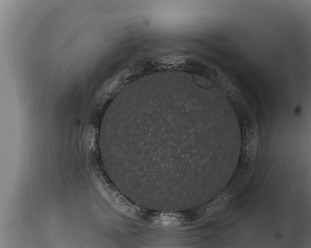 X0000116770758200912241203