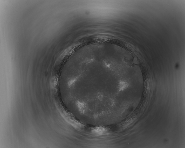 X0000116770759200912241203
