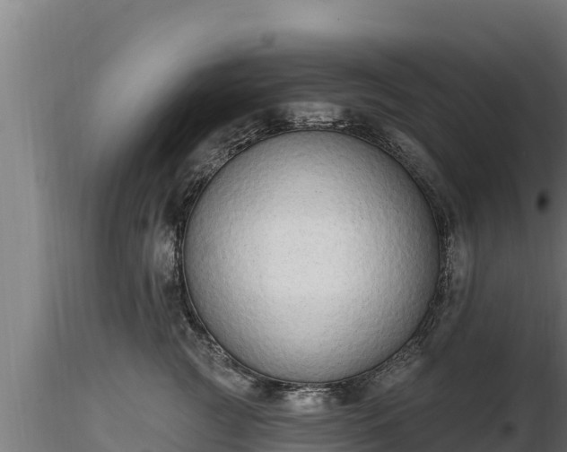 X0000116770761200912241203
