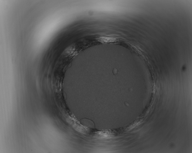 X0000116770763200912241203
