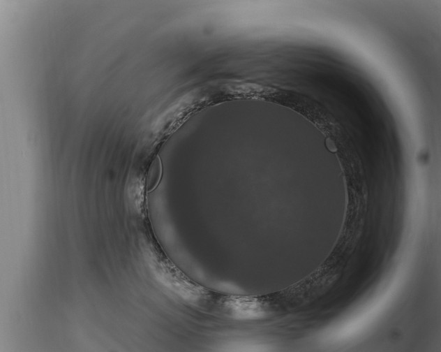 X0000116770767200912241203