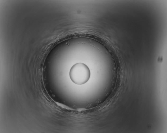 X0000116770769200912241203