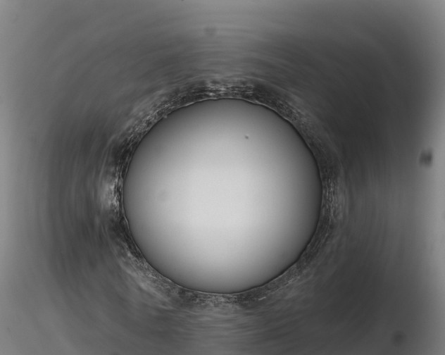 X0000116770770200912241203