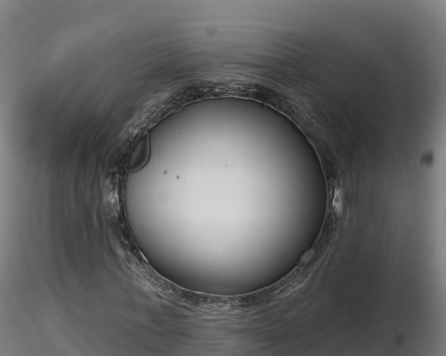 X0000116770771200912241203