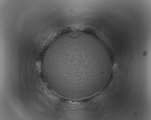X0000116770772200912241203