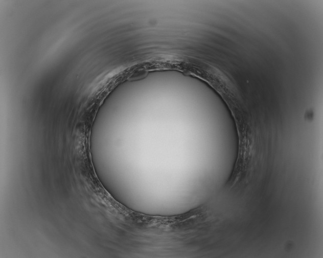 X0000116770773200912241202