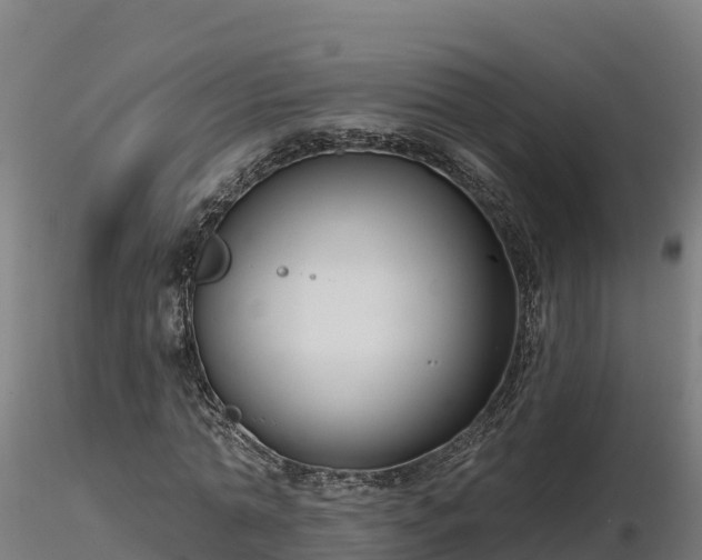 X0000116770774200912241202