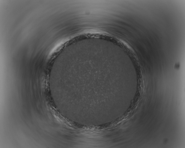 X0000116770775200912241202