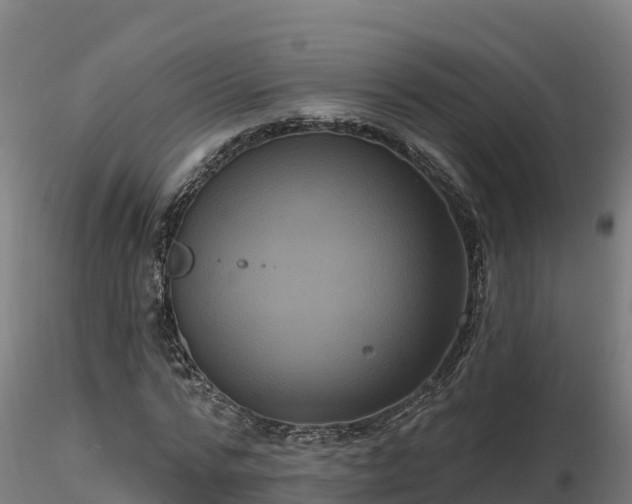 X0000116770776200912241202