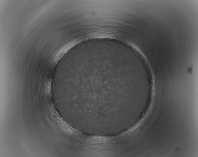X0000116770777200912241202