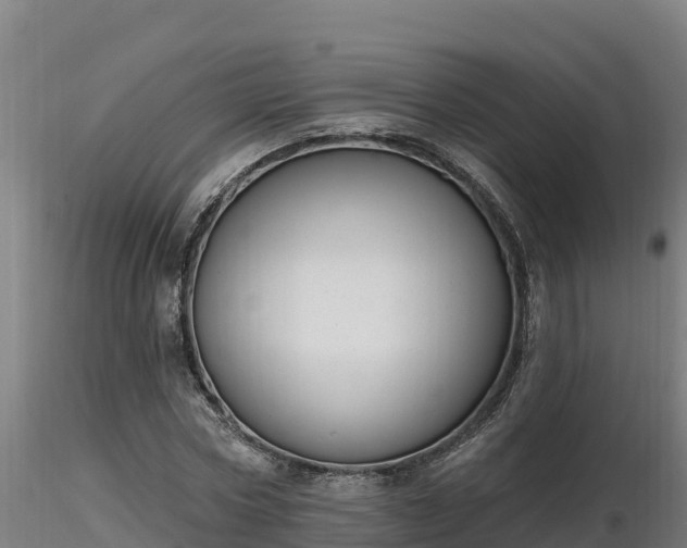 X0000116770778200912241202