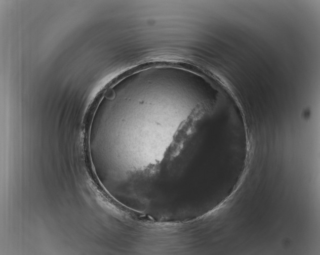 X0000116770779200912241202