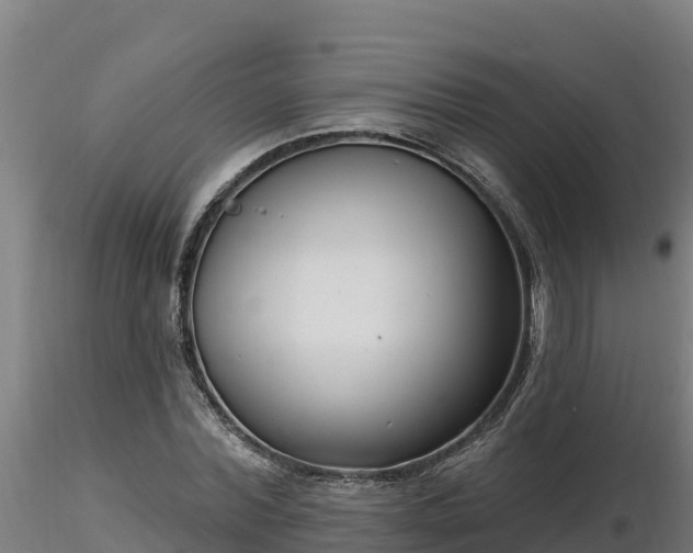 X0000116770780200912241202