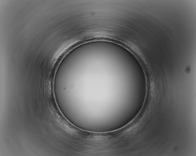 X0000116770782200912241202