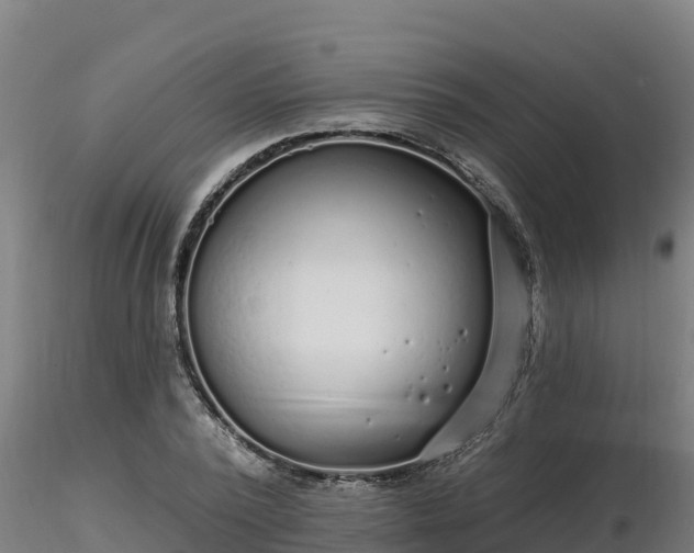 X0000116770784200912241202