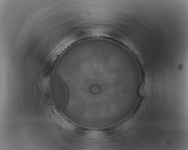 X0000116770785200912241202
