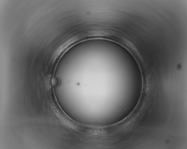 X0000116770786200912241202