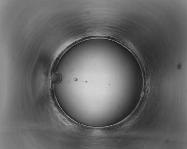 X0000116770787200912241202
